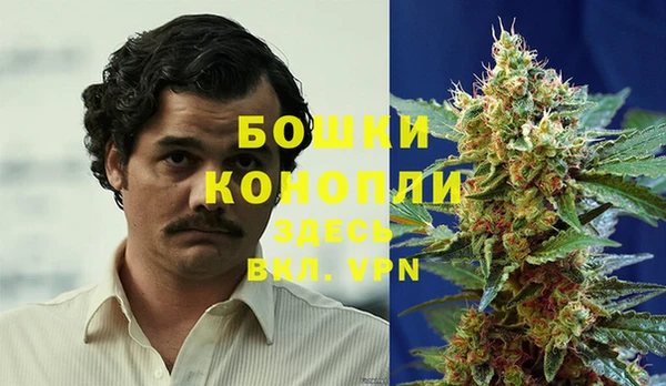 apvp Няндома