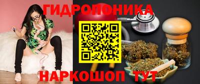 эйфоретик Абакан