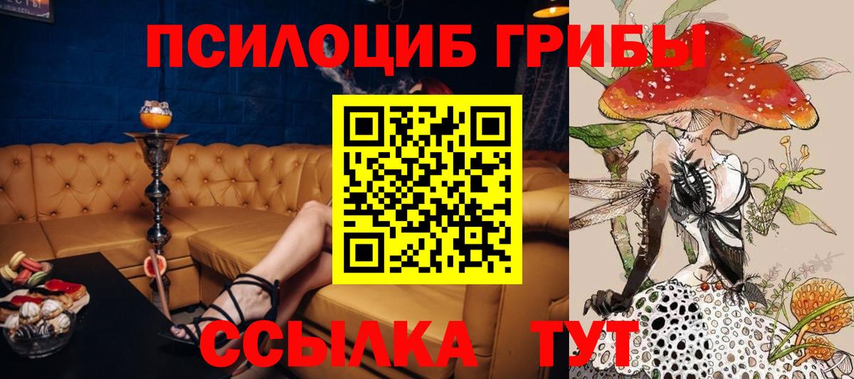 Псилоцибиновые грибы прущие грибы Абинск